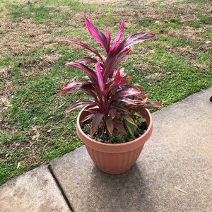 Meet your Posher, Lee